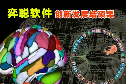 弈聰軟件 科研創新結碩果，信息安全軟件開發再添新動能