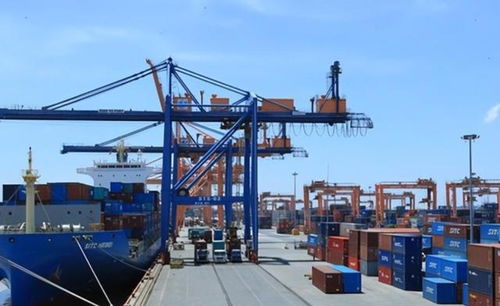 貨幣保衛(wèi)戰(zhàn)輸了 外匯儲(chǔ)備見(jiàn)底與巨額債務(wù)下的經(jīng)濟(jì)困境