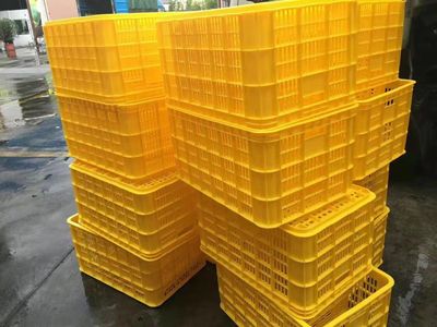 20號塑料制品 聚丙烯（PP）的廣泛應(yīng)用與環(huán)保挑戰(zhàn)